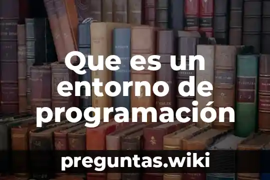 Que es un entorno de programación