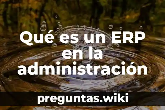Qué es un ERP en la administración