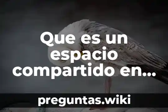 Que es un espacio compartido en arquitectura