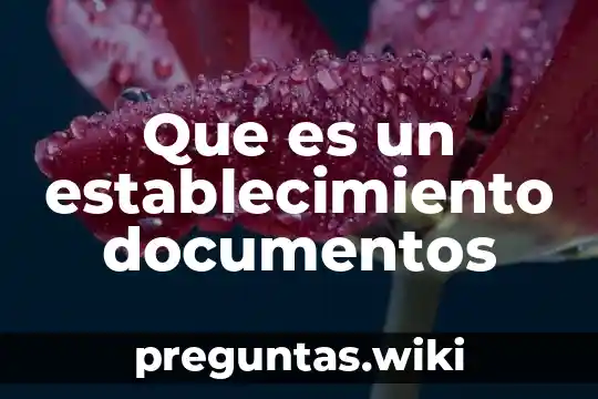 Que es un establecimiento documentos