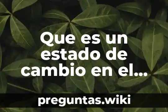 Que es un estado de cambio en el capital contable