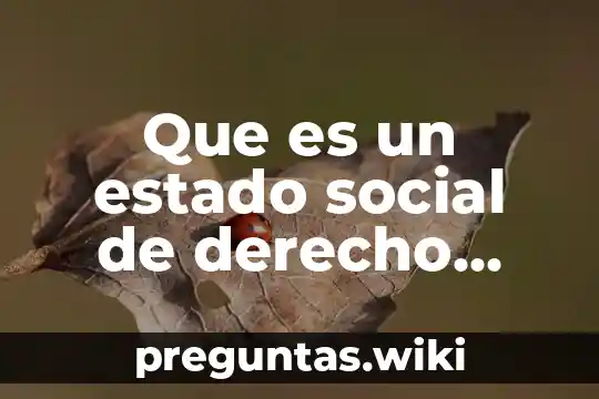 Que es un estado social de derecho resumen