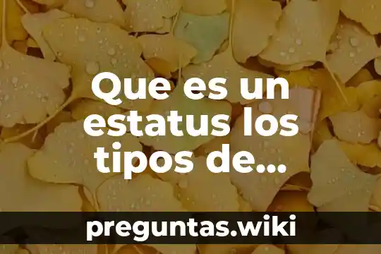 Que es un estatus los tipos de estatus