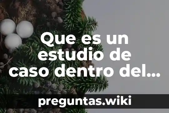 Que es un estudio de caso dentro del trabajo social