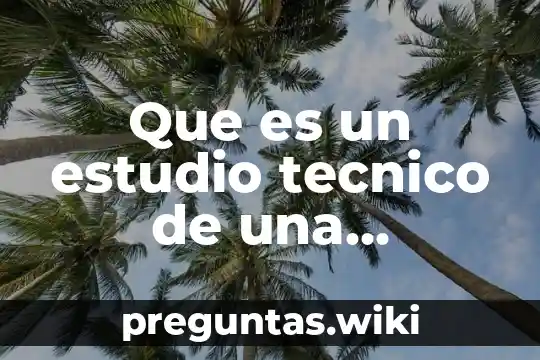 Que es un estudio tecnico de una empresa