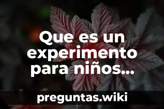 Que es un experimento para niños definicion