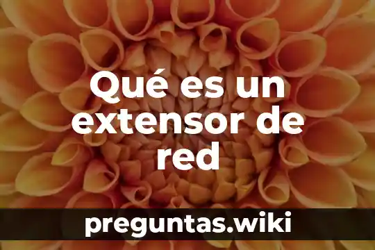 Qué es un extensor de red