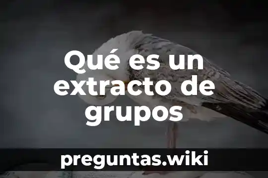 Qué es un extracto de grupos