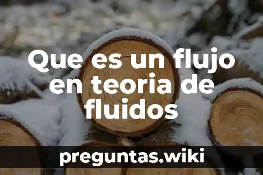 Que es un flujo en teoria de fluidos