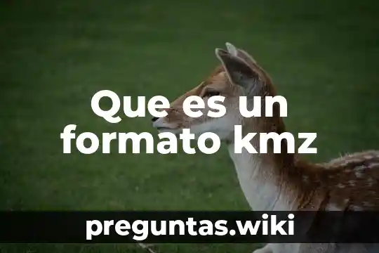 Que es un formato kmz