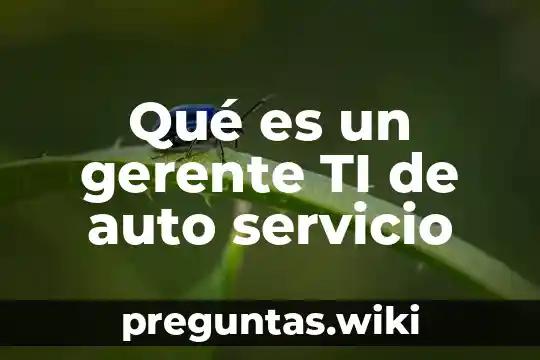 Qué es un gerente TI de auto servicio