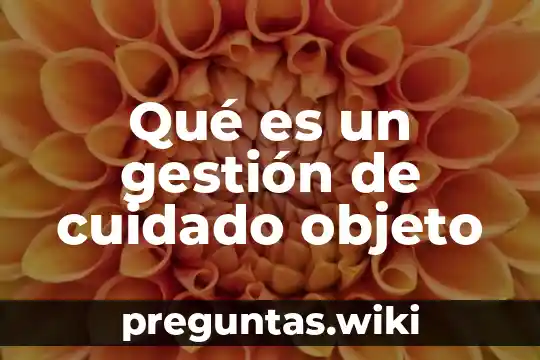 Qué es un gestión de cuidado objeto
