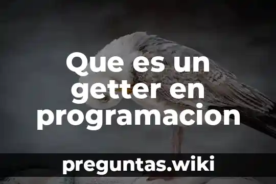 Que es un getter en programacion