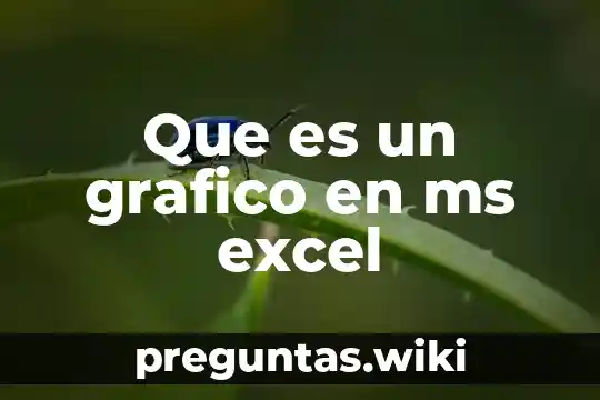 Que es un grafico en ms excel