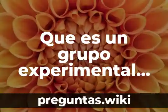 Que es un grupo experimental en ciencias