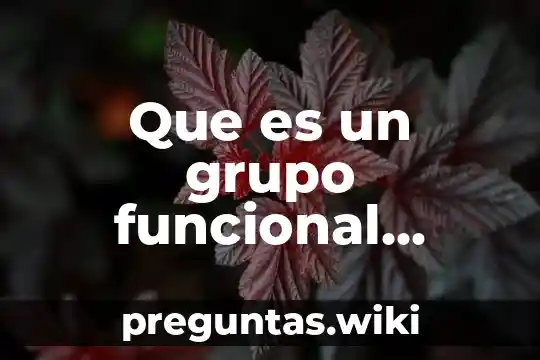 Que es un grupo funcional articulo