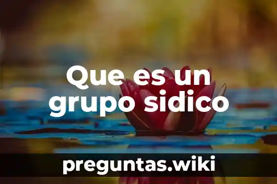Que es un grupo sidico