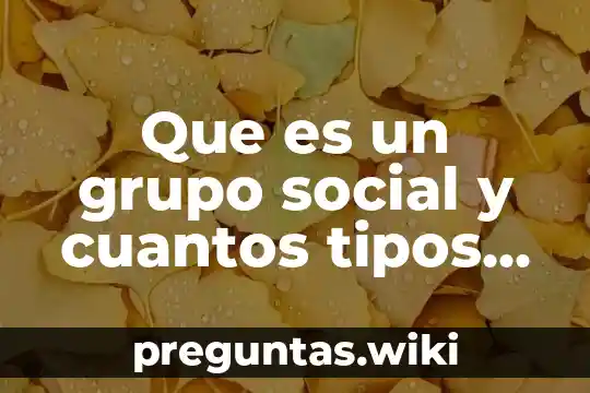 Que es un grupo social y cuantos tipos exixten