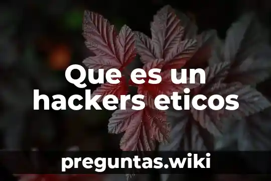 Que es un hackers eticos