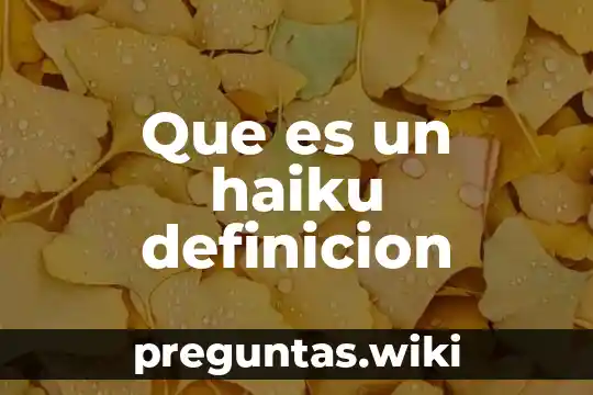 Que es un haiku definicion