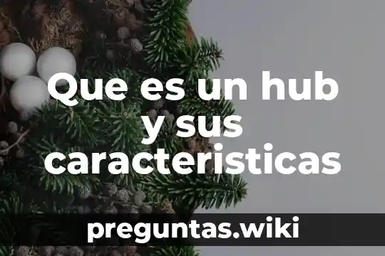 Que es un hub y sus caracteristicas