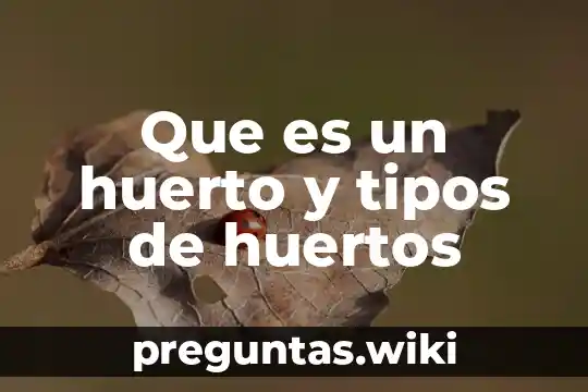 Que es un huerto y tipos de huertos