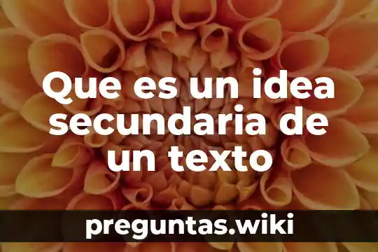 Que es un idea secundaria de un texto