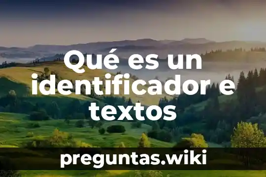 Qué es un identificador e textos