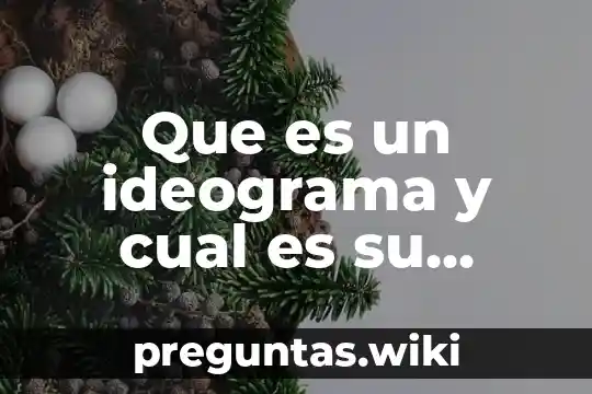 Que es un ideograma y cual es su funcion
