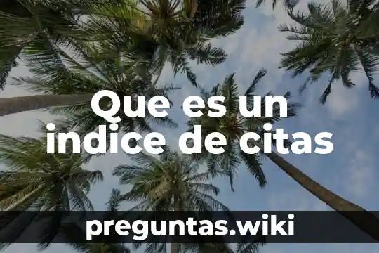 Que es un indice de citas