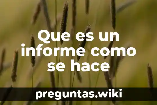 Que es un informe como se hace
