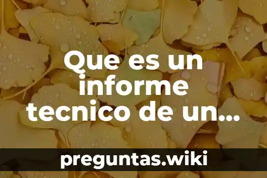 Que es un informe tecnico de un proyecto