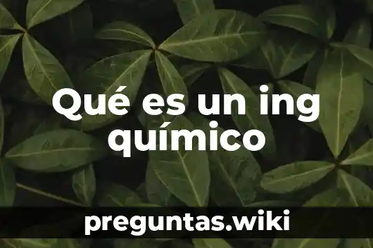 Qué es un ing químico