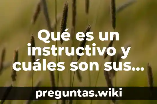 Qué es un instructivo y cuáles son sus partes