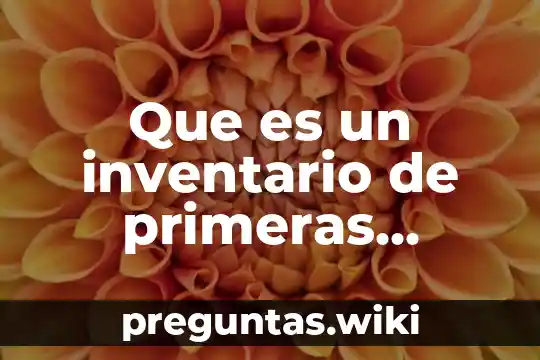 Que es un inventario de primeras entradas primeras salidas