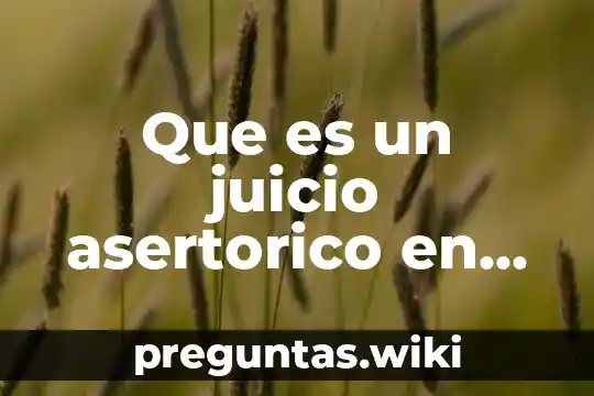 Que es un juicio asertorico en logica
