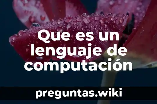 Que es un lenguaje de computación