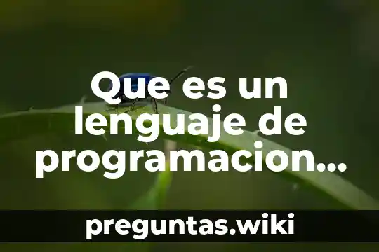 Que es un lenguaje de programacion de c++