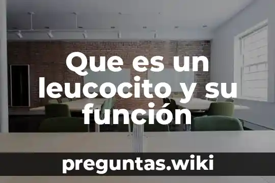 Que es un leucocito y su función