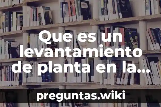 Que es un levantamiento de planta en la industrial