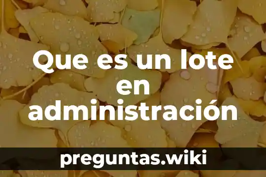 Que es un lote en administración