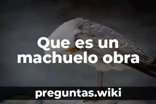 Que es un machuelo obra