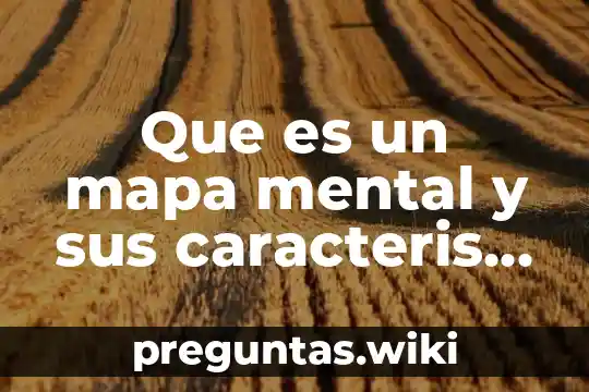 Que es un mapa mental y sus caracteris ticas