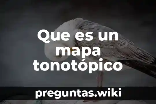 Que es un mapa tonotópico