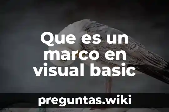 Que es un marco en visual basic