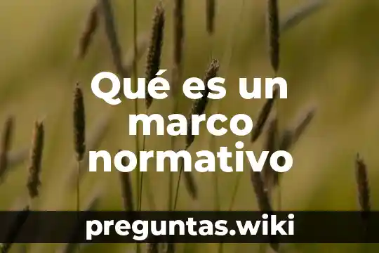 Qué es un marco normativo