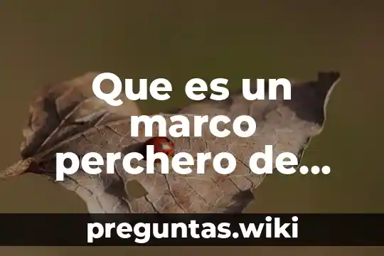 Que es un marco perchero de pie
