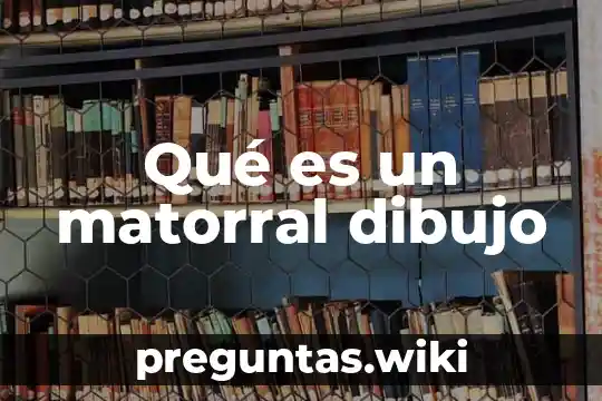Qué es un matorral dibujo
