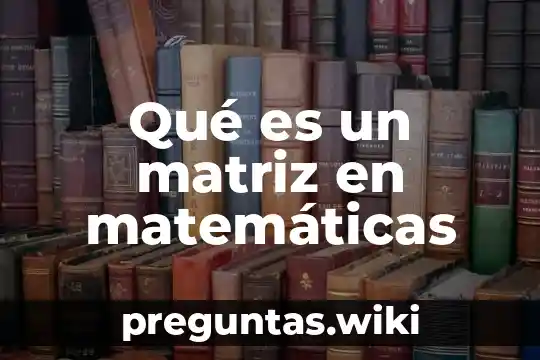 Qué es un matriz en matemáticas