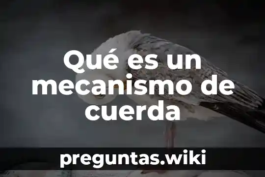 Qué es un mecanismo de cuerda